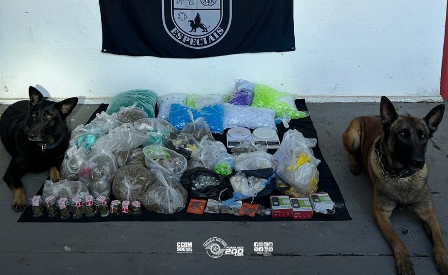 CÃES DO 5º BAEP LOCALIZAM MAIS DE 21 KG DE DROGAS DURANTE OPERAÇÃO NA ZONA LESTE DA CAPITAL caes-do-5o-baep-localizam-mais-de-21-kg-de-drogas-durante-operacao-na-zona-leste-da-capital